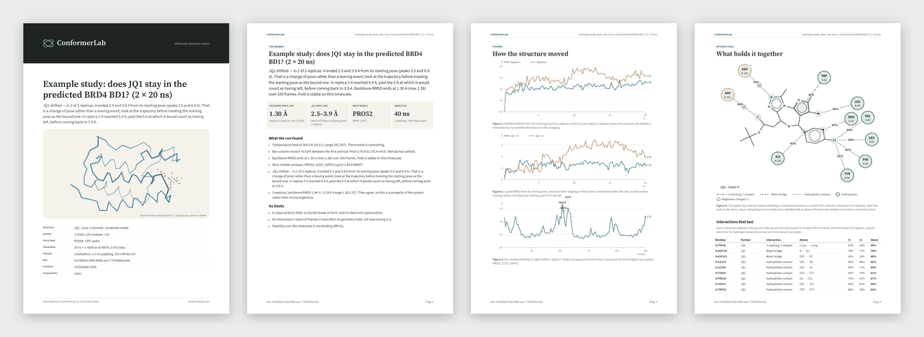 The first four pages of a run's PDF report: the cover, the answer, the figures and the interactions.